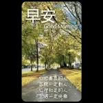 早安這世界(卡地夫) 5