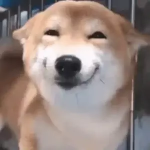 lvZBSw