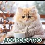 с добрым утром ☕💖🥰