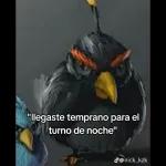 MEME CHAMBEAR