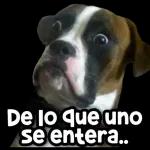 Que pase la traumada