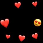 ¡ERES MI PERSONA FAVORITA!