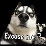 @lexc AN