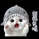 0107-tw-鲨鱼头猫猫