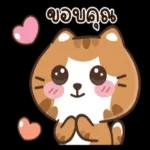 ดาวน์โหลดฟรี