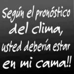 frases