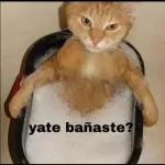 @lexa
adivina a
que venge!!!!