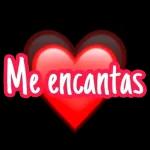 pelon