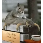 Nutty Hedgers Health Farm and Spa