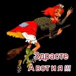 Иди ёжиков паси