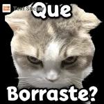 Aquí buscando donde pedí tu opinión