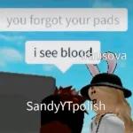 roblox memes