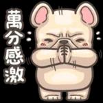 法鬥皮古-GOGO加油