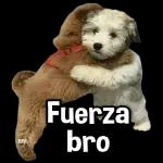 siguen contando