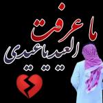 حفظ لكم الله من كل ســوء 