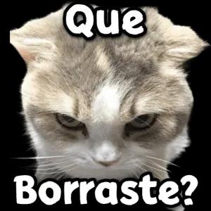 Que Borraste? - getsticker.com