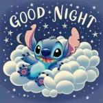 Stitch's lovely night