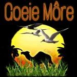 Goeie Môre
R
Psalm 145:8
Geseënde bag