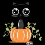 Prep for the Halloween!