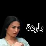 ÙÙØµÙØ§Øª Ø¨Ø§Ø¨ Ø§ÙØ­Ø§Ø±Ø©