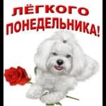 Доброе утро