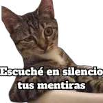 Ven aquí 😚