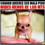 Te Prepare El Desayuno