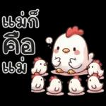ลูกไก่น้อย ^^