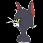 Tom and Jerry
                            Liza Fomushkina