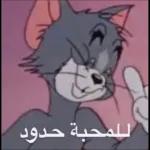 صاحي أنت ولا مهبول؟