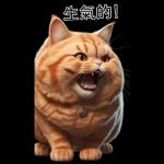 可愛的橘色肥貓!