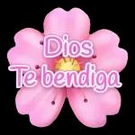 🤗ķoa