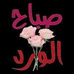 حفظك الرحمن