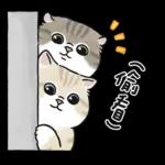 愛撒嬌的奶油小生 (虎斑貓)