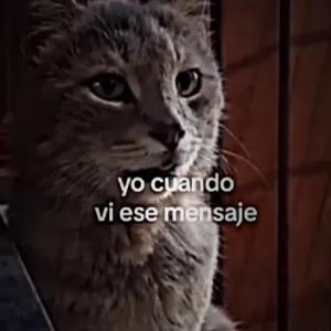lxtENH