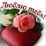 Люблю тебя!