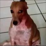 TODO BIEN