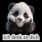 süße Panda❤️😍
