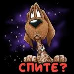 на всякий