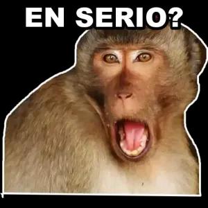 EN SERIO? - getsticker.com