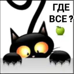 🤩🤷‍♂️🤷‍♂️🤷‍♂️