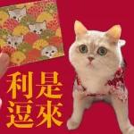 Year of Snake 蛇年快樂