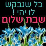 שבת שלום