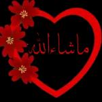 70 492 84 11 70 492 84 11