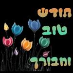 כל שבוע טוב