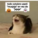 grupos 