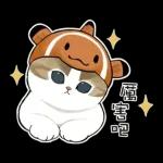 鯊魚貓咪 2
