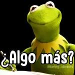 ¿Algo más? @Harley stickers