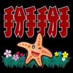 可愛海星 2