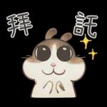 邦妮蓓蓓的日常生活